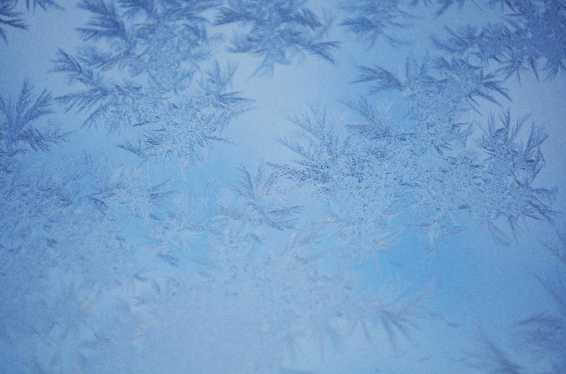 frost pattern,winter,frozen window,frosted window,cold,winter background,frost texture,frost patterns on glass