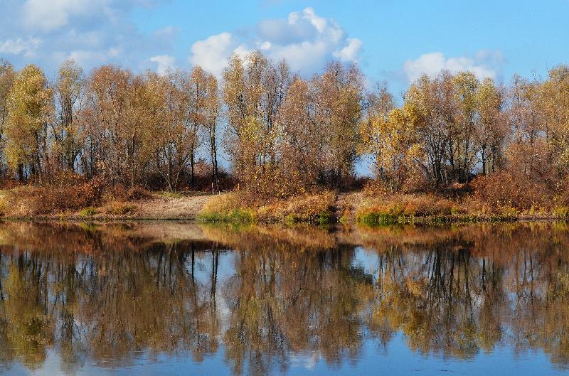 Desna river,Autumn,Autumn background,Nature background,Autumn day,Sunny day,Autumn nature,Trees