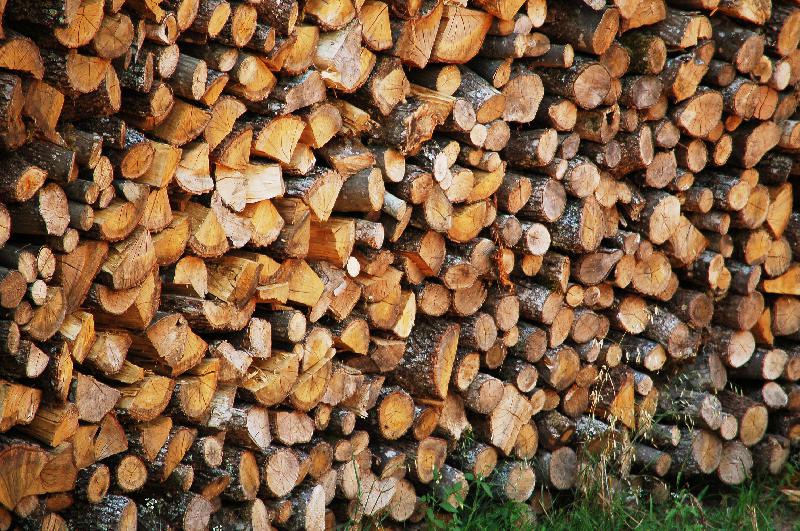 fire logs,wood,timber,pile of logs,pile of timber