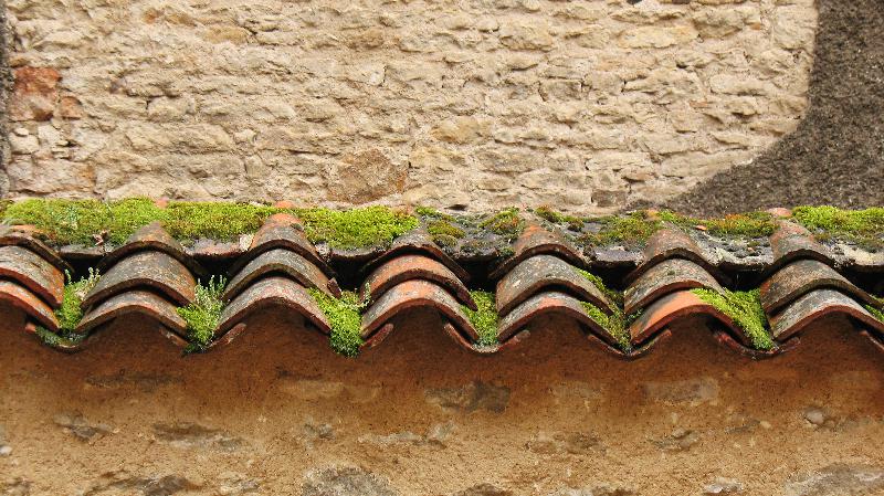 Old roof tiles,Moss tiles,Old wall