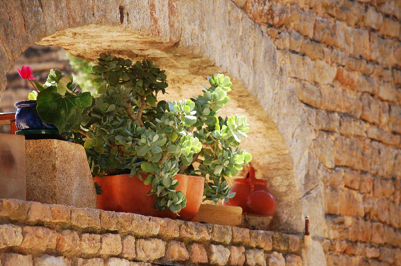 Potted flowers,Old wall with flowers,Plant,Stone pot